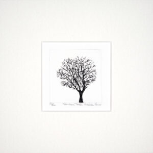 Stanton Tree