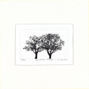 Barton Tree