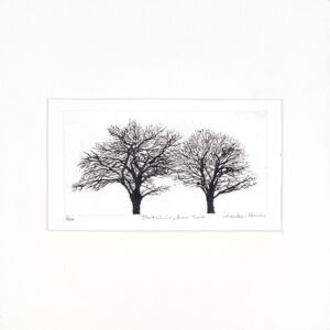 Bletchingdon Tree