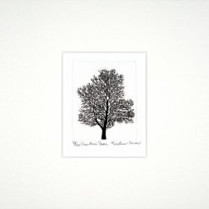Charlton Tree