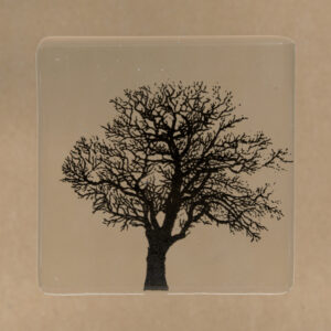 Forest Hill - Black