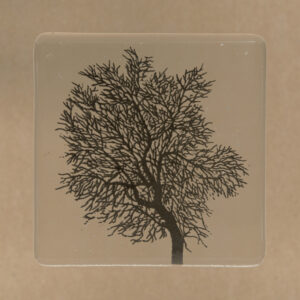 Windy Ridge - Black