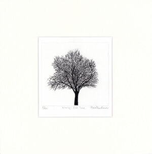 Kings End Tree