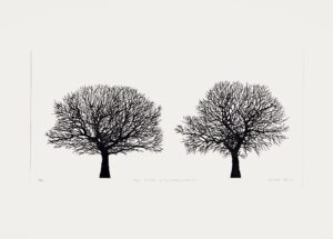 The Oaks on Dairy Ground