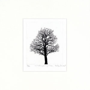Waterperry Tree